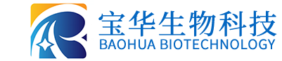 乐竞网页版登录入口